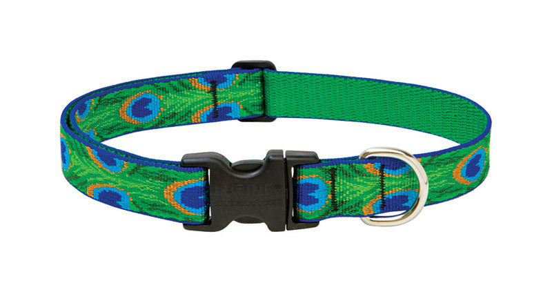 LUPINEPET - LupinePet Original Designs Multicolor Tail Feathers Nylon Dog Adjustable Collar [32653]