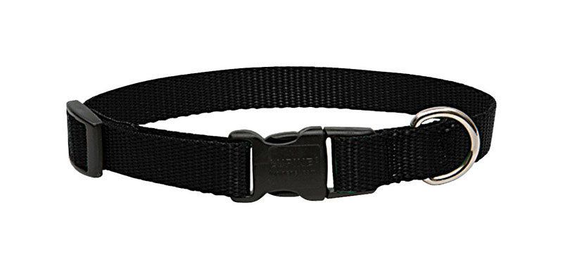 LUPINEPET - LupinePet Basic Solids Black Black Nylon Dog Adjustable Collar [27502]