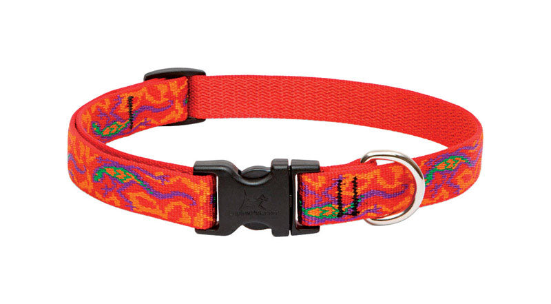 LUPINEPET - LupinePet Original Designs Multicolor Go Go Gecko Nylon Dog Adjustable Collar [41002]