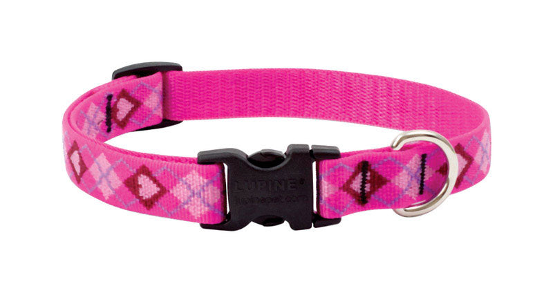 LUPINEPET - LupinePet Original Designs Multicolor Puppy Love Nylon Dog Adjustable Collar [14202]