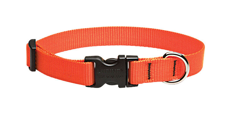 LUPINEPET - LupinePet Basic Solids Blaze Orange Blaze Orange Nylon Dog Adjustable Collar [52502]