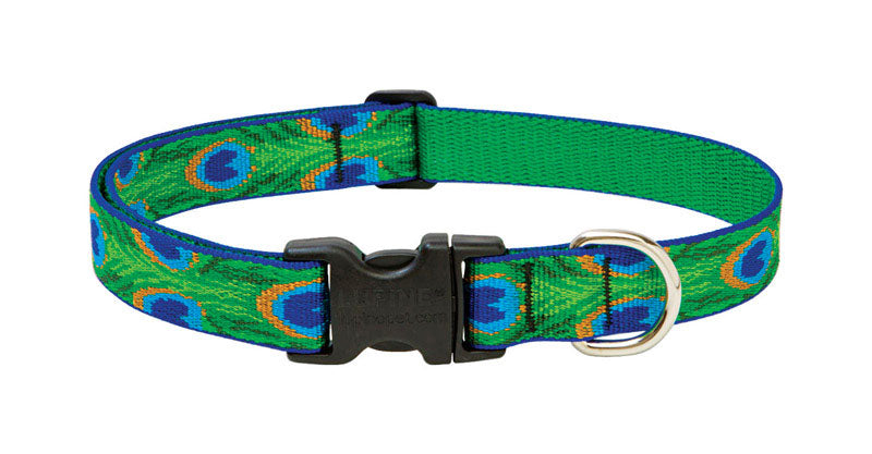 LUPINEPET - LupinePet Original Designs Multicolor Tail Feathers Nylon Dog Adjustable Collar [32652]