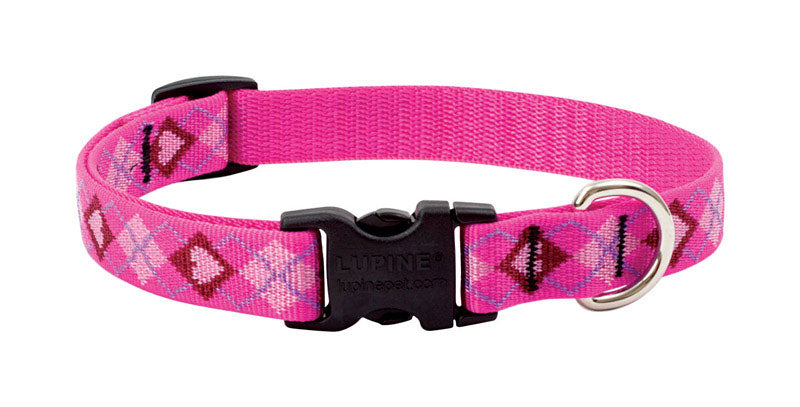 LUPINEPET - LupinePet Original Designs Multicolor Puppy Love Nylon Dog Adjustable Collar [14201]