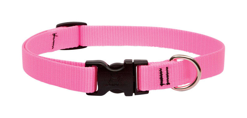 LUPINEPET - LupinePet Basic Solids Pink Pink Nylon Dog Adjustable Collar [57502]