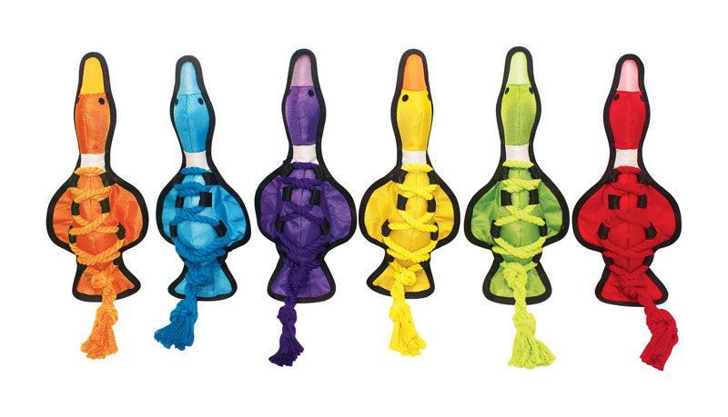 MULTIPET - Multipet Assorted Nylon Cross-Ropes Duck Dog Tug Toy Medium