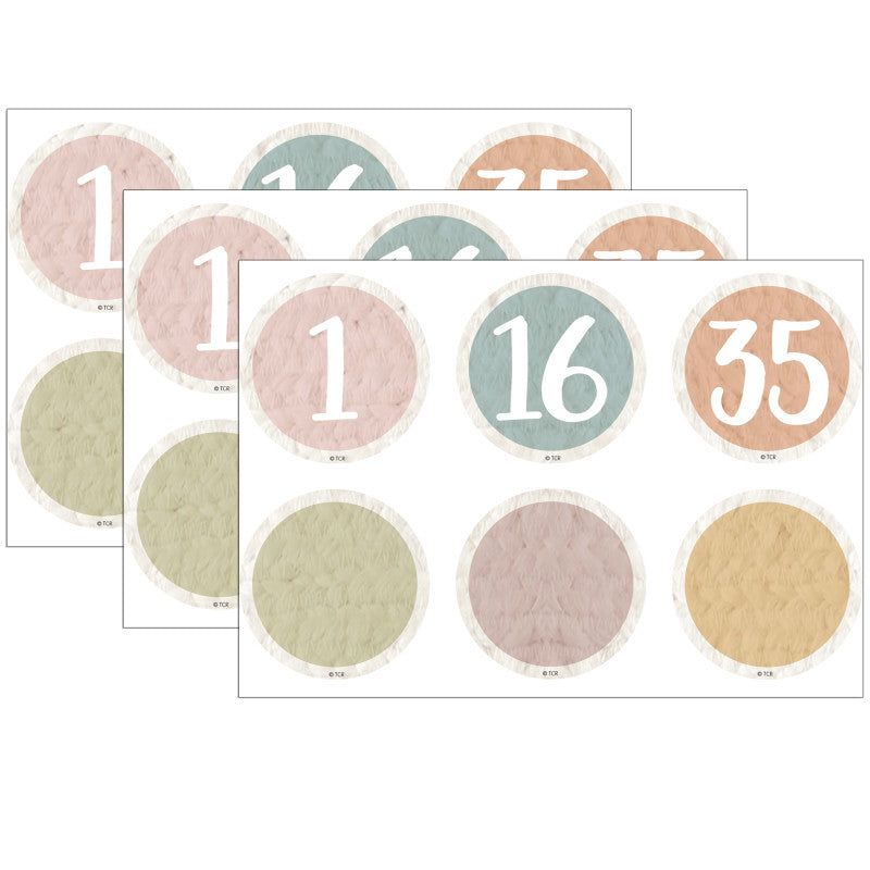 TEACHER CREATED RESOURCES - Everyone is Welcome Numbers Magnetic Accents, 42 Per Pack, 3 Packs