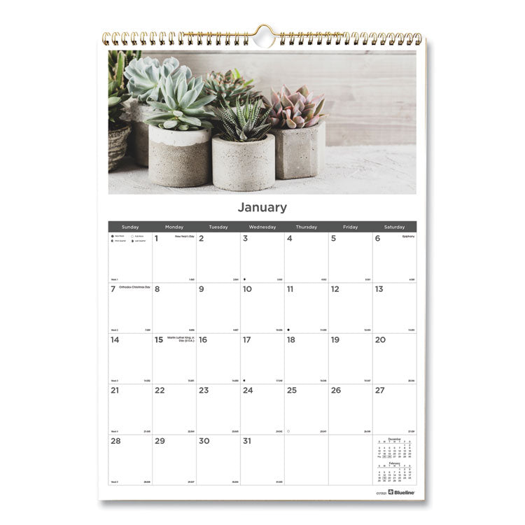 Blueline - 12-Month Wall Calendar, Succulent Plants Photography, 12 x 17, White/Multicolor Sheets, 12-Month (Jan to Dec): 2024