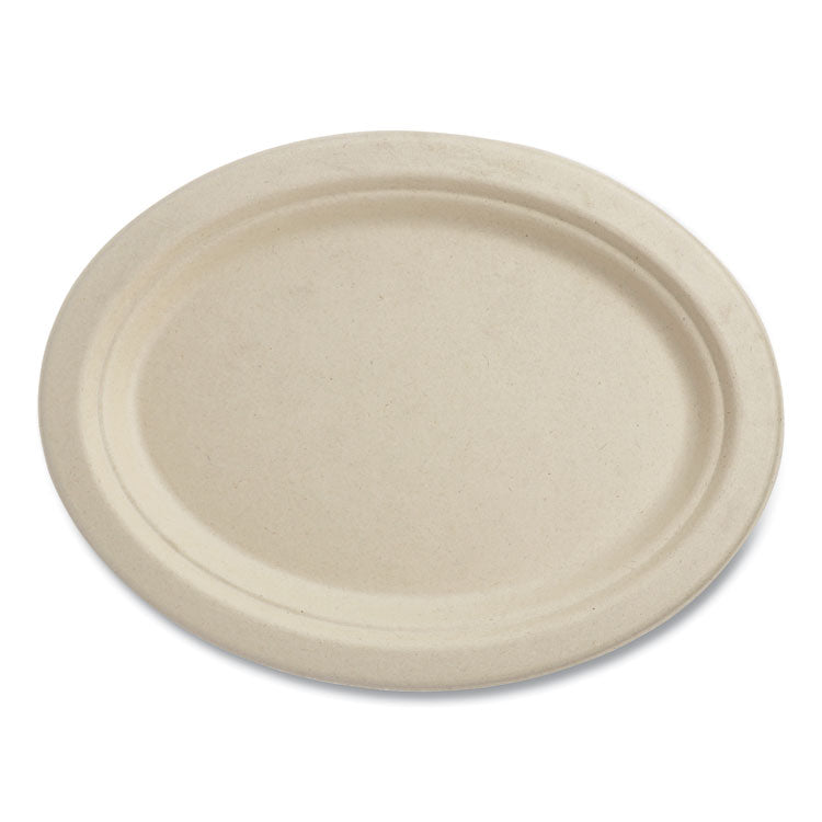 World Centric - Fiber Plates, 12" Oval, Natural, 500/Carton