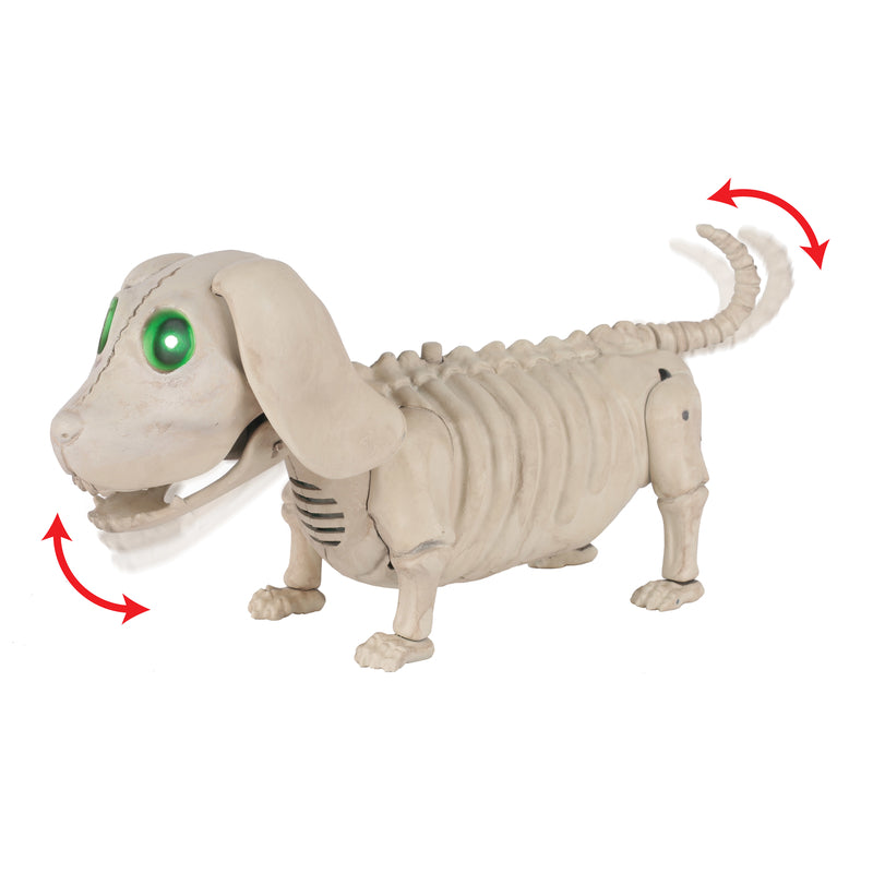 SEASONS USA - Seasons Green 3.5 in. Prelit Animated Wiener Dog Skeleton Halloween Decor