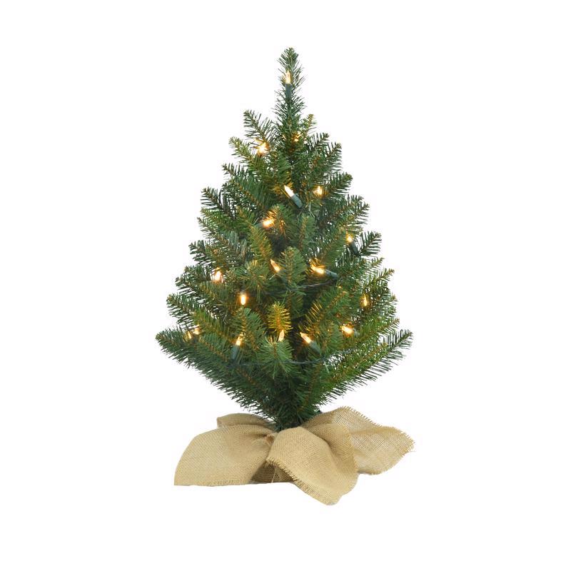 CELEBRATIONS - Celebrations 2 ft. Full Incandescent 35 ct Table Top Christmas Tree - Case of 4 [TMPT20P00A]