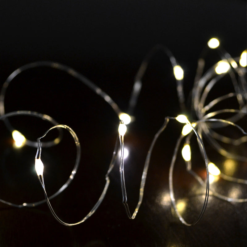 CELEBRATIONS - Celebrations LED Micro/5mm Warm White 100 ct String Christmas Lights 33.33 ft. - Case of 12 [MICSLV100WWMUA]