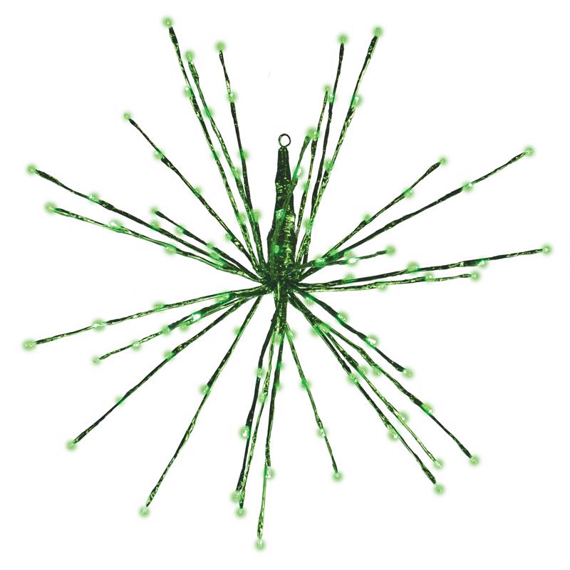 CELEBRATIONS - Celebrations Platinum LED Green Radiant Blast 24 in. Hanging Decor