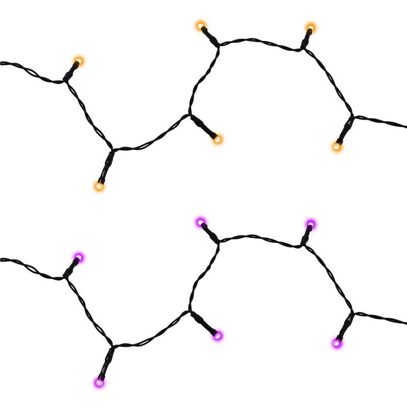 CELEBRATIONS - Celebrations Halloween Orange/Purple 50 ct 1 in. LED Light String String Lights - Case of 12 [BO5M50BPVCORPLA]