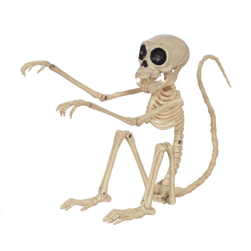 SEASONS USA - Seasons 7.25 in. Skeleton Monkey Halloween Decor