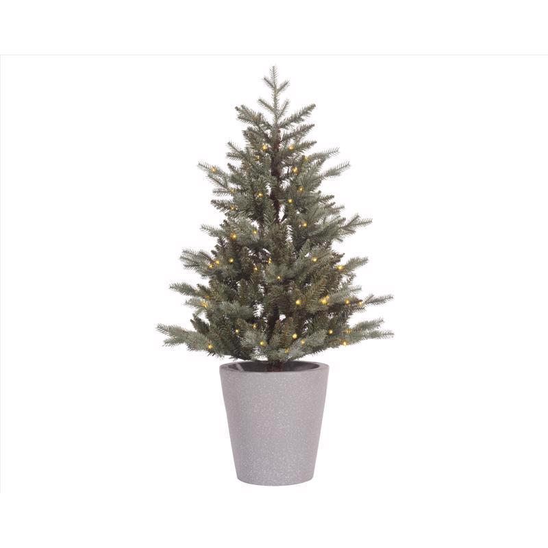 CELEBRATIONS - Celebrations 4 ft. Full LED 80 ct Misty Allison Pine Christmas Tree