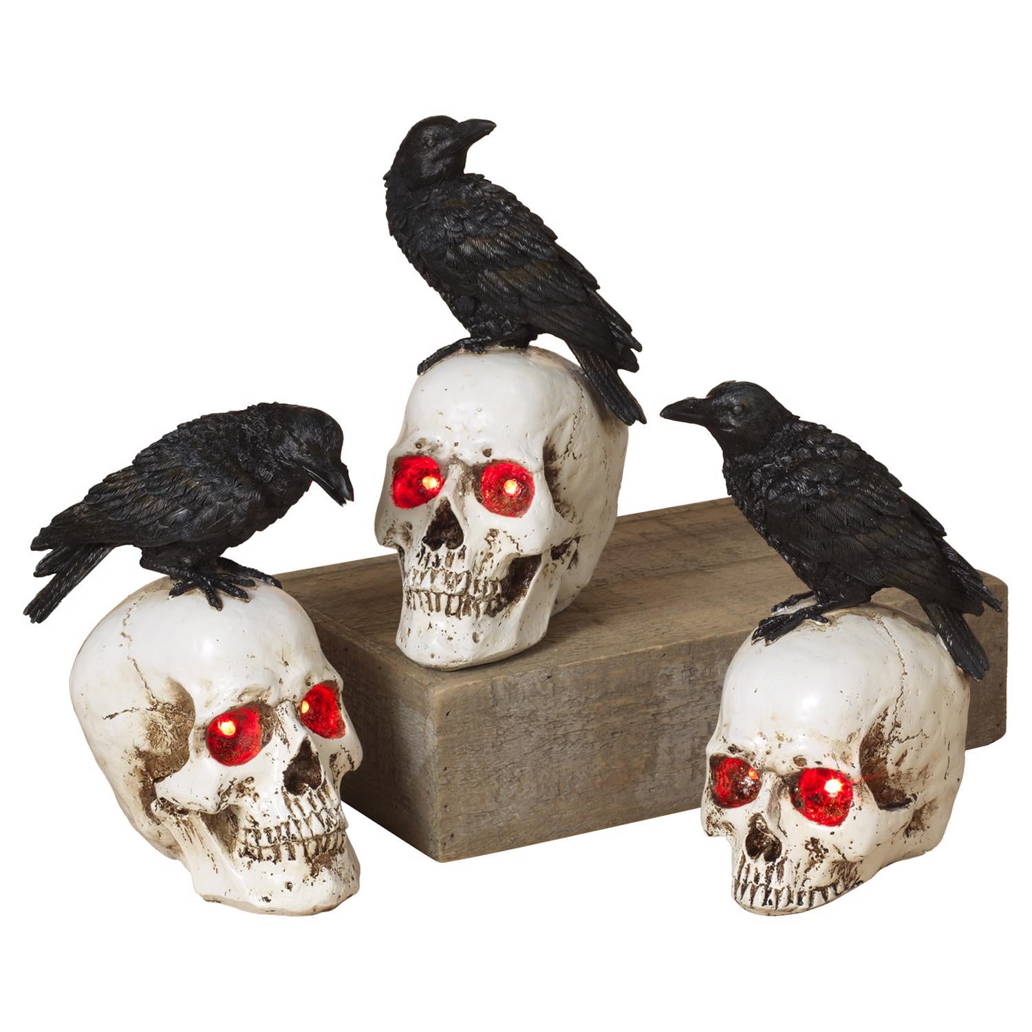 Gerson 8 in. Prelit Skull with Crow Halloween Decor - Case of 12