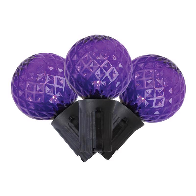 CELEBRATIONS - Celebrations Purple 25 ct LED G40 Halloween String Lights