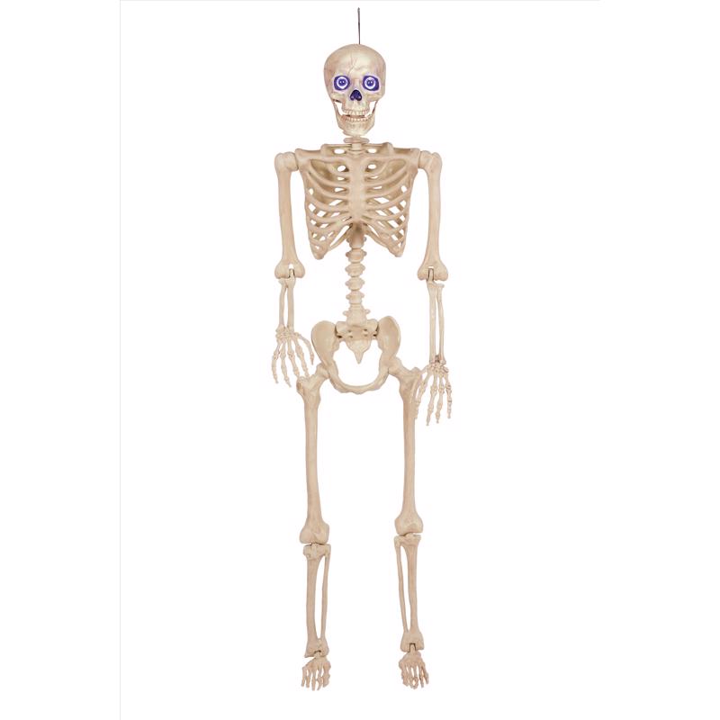 SEASONS - Seasons Multicolored 60 in. LED Skeleton Halloween Decor