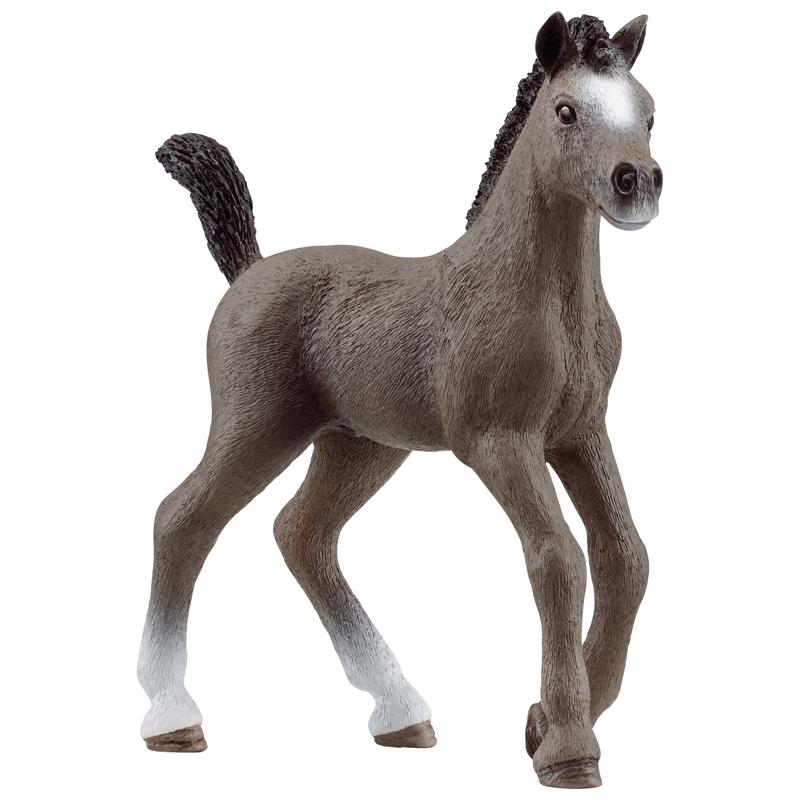 SCHLEICH - Schleich Cheval de Selle Francais Foal Gray - Case of 5