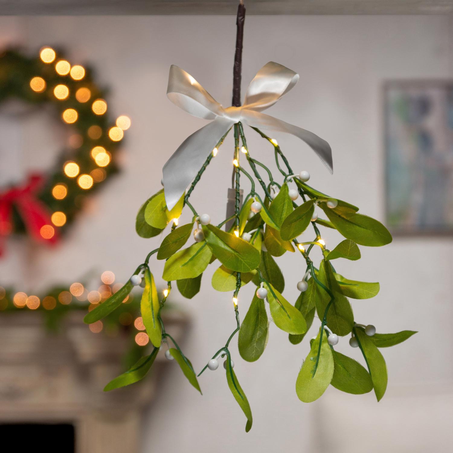 Gerson Mistletoe Branch with Warm White LED Lights Hanger 12 in. - Case of 24