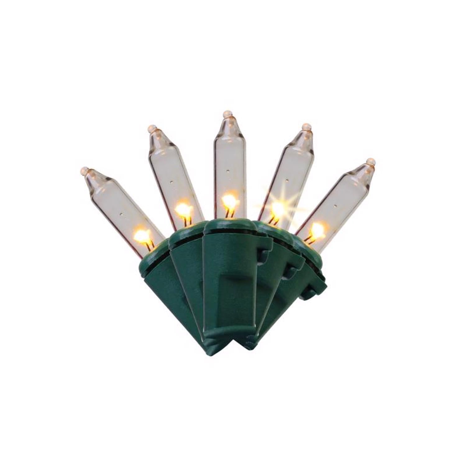 Celebrations Classic LED T5 Warm White 100 ct String Christmas Lights 24.75 ft. - Case of 12