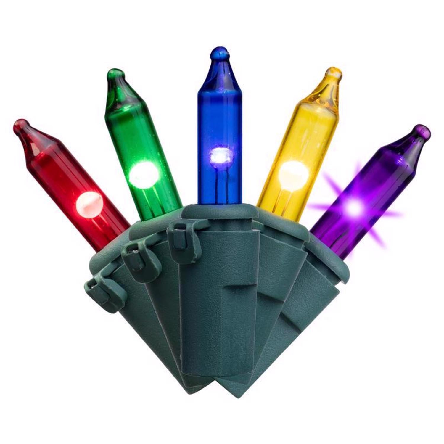 Celebrations Classic LED T5 Multicolored 100 ct String Christmas Lights 24.75 ft. - Case of 12