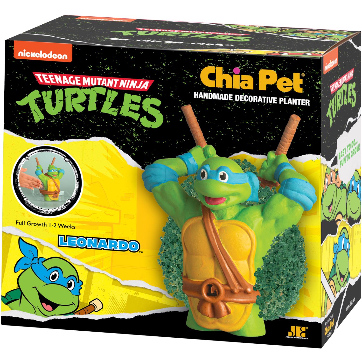 Chia Pet Teenage Mutant Ninja Turtle Decorative Planter Clay 1 pk - Case of 16