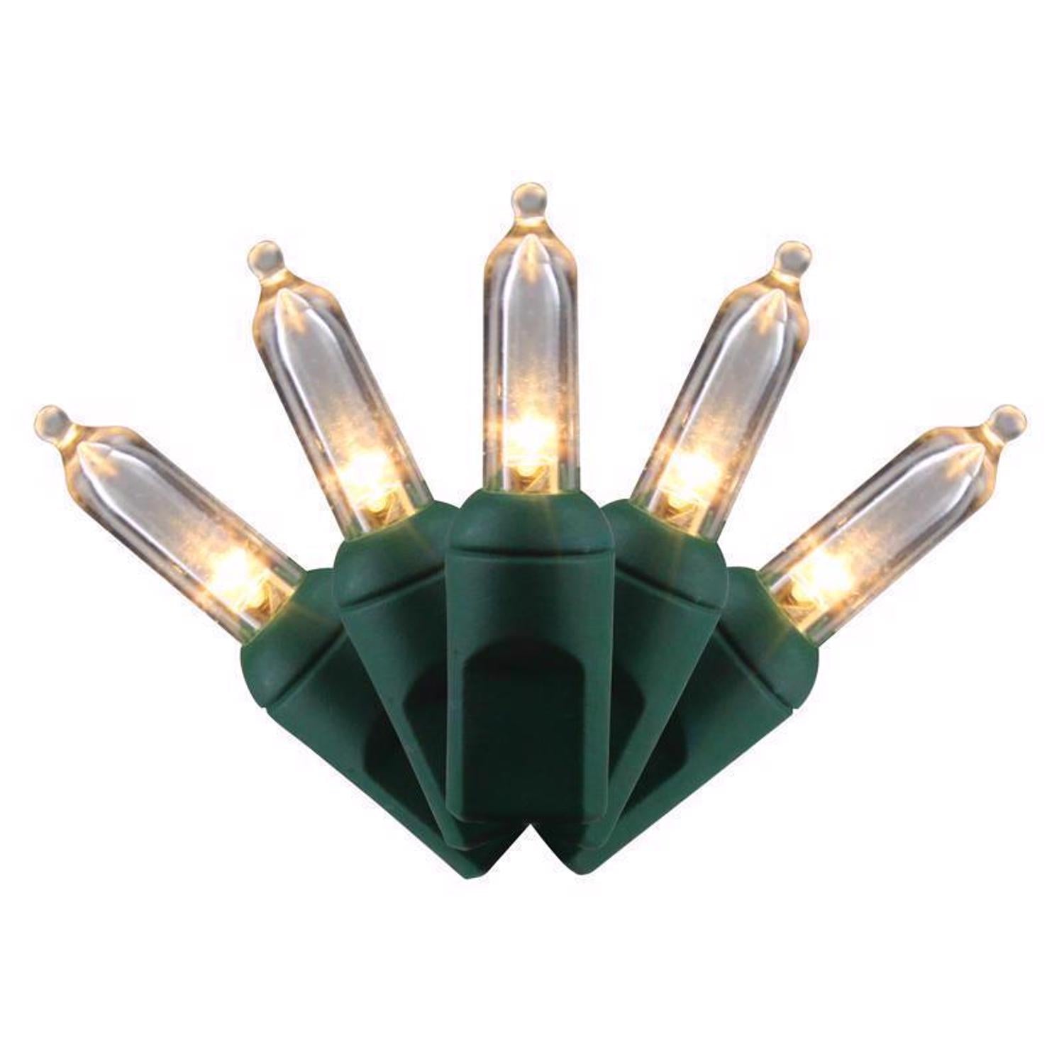 Celebrations LED T5 Warm White 50 ct String Christmas Lights - Case of 12