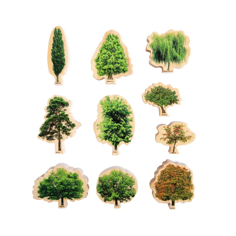 THE FRECKLED FROG - Seasons Wooden Trees