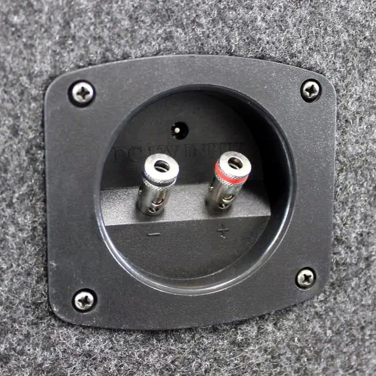 Pyramid Dual 10" Subwoofer Enclosure 1000W MAX