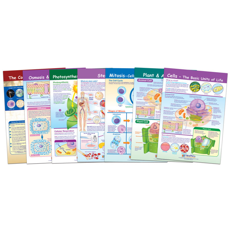 NEWPATH LEARNING - Cells Bulletin Board Chart Set, Grades 3-5