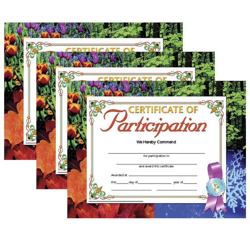 HAYES PUBLISHING - Certificate of Participation, 8.5" x 11", 30 Per Pack, 3 Packs