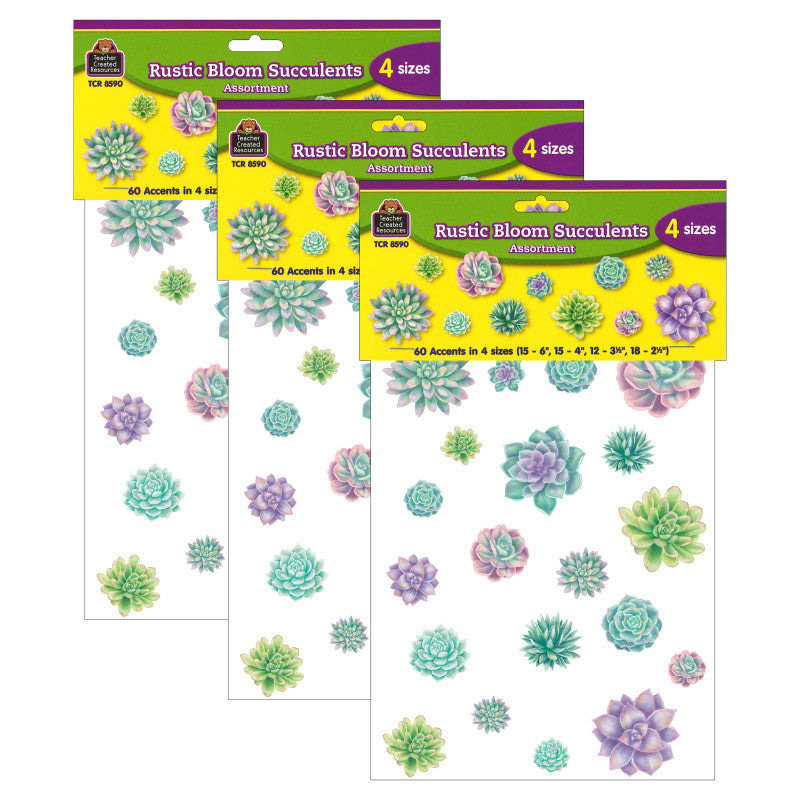 TEACHER CREATED RESOURCES - Rustic Bloom Succulents Accents, Assorted Sizes, 60 Per Pack, 3 Packs