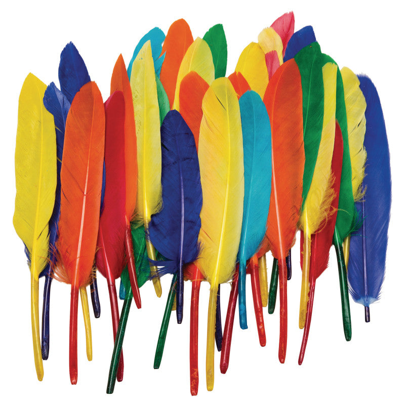 Duck Quills, Assorted Colors, 3" to 5", 14 grams