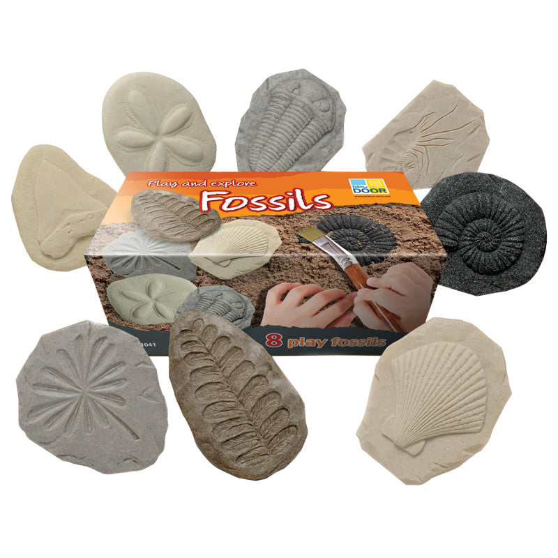 YELLOW DOOR - Let's Investigate Fossil Stone, Pack of 8