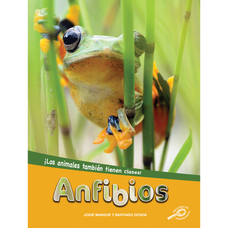 DISCOVERY LIBRARY - Anfibios Hardcover