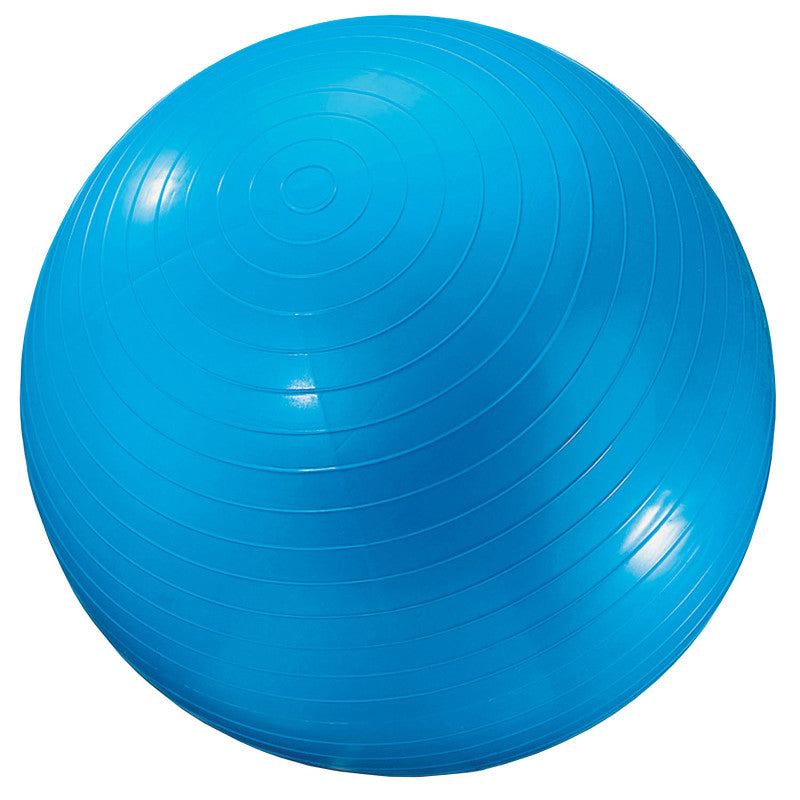 MARTIN SPORTS - Exercise Ball, 24", Blue