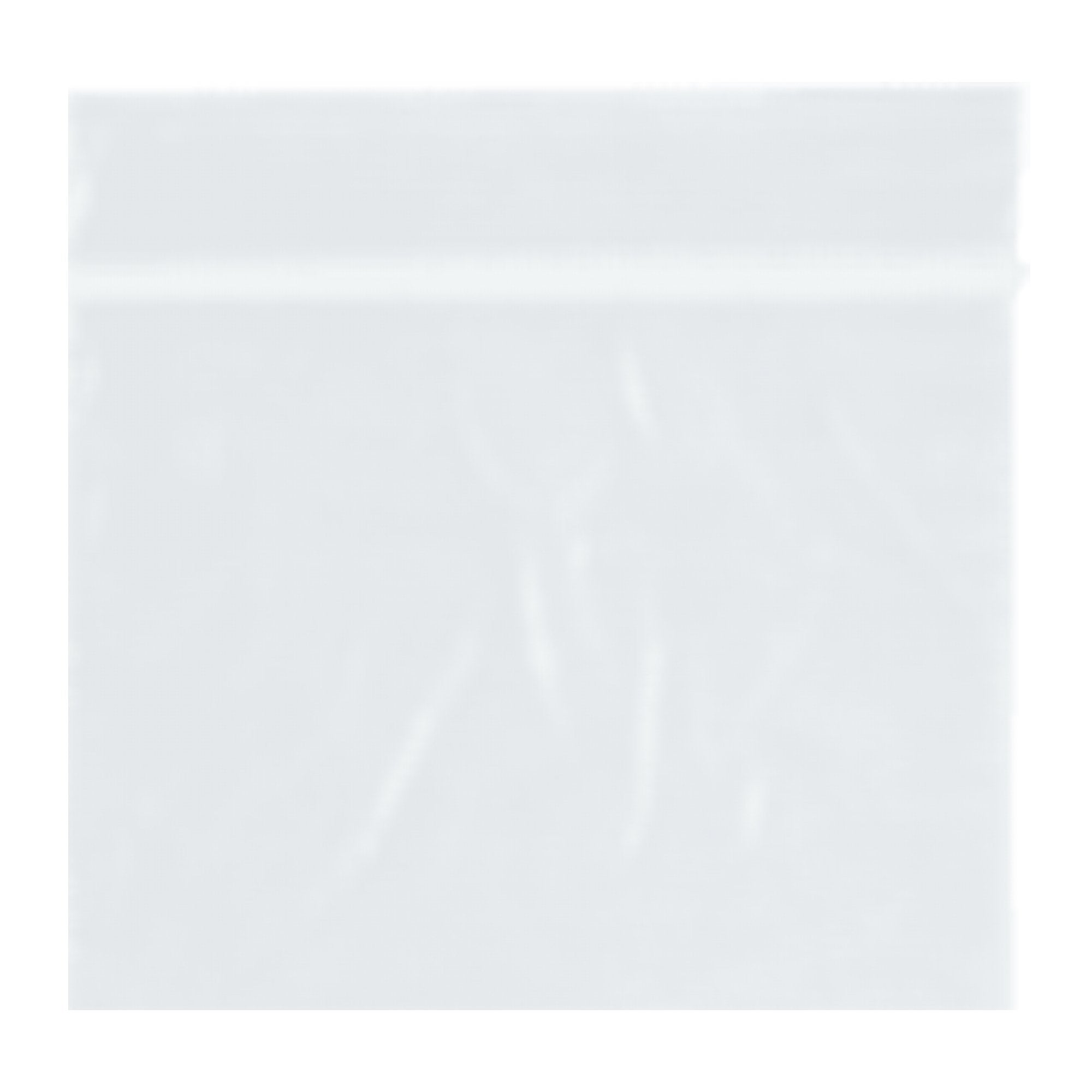 RD Plastics Company - Reclosable Bag 2 X 2 Inch Plastic Clear Zipper Closure [1000/CS]