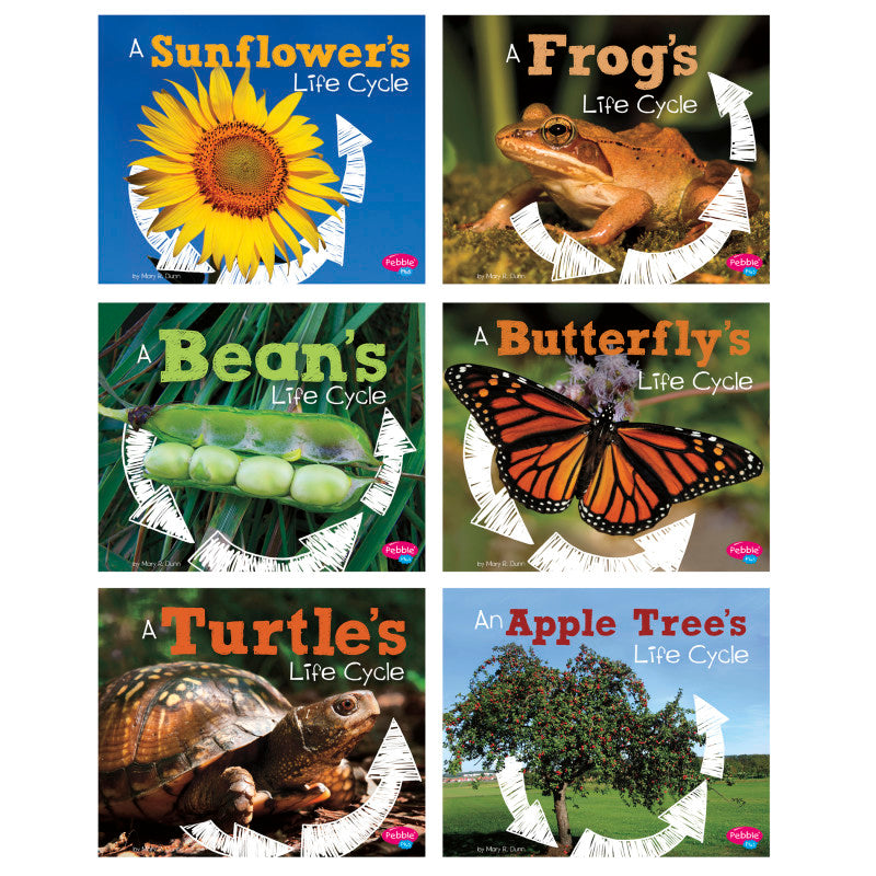 PEBBLE PLUS - Explore Life Cycles, Set of 6 books