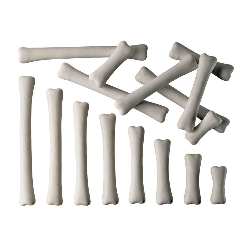 YELLOW DOOR - Dinosaur Bones Match & Measure Set