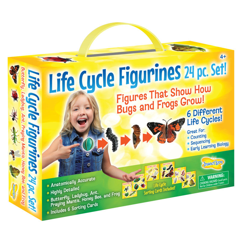 INSECT LORE - Life Cycle Figurines Set, 24 Pieces