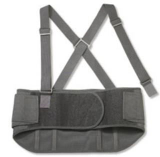 Ergodyne - Occupational Back Support ProFlex® 1600 Standard Large Hook and Loop Closure 34 to 38 Inch Waist Circumference 9 Inch Height Adult [1/EA]