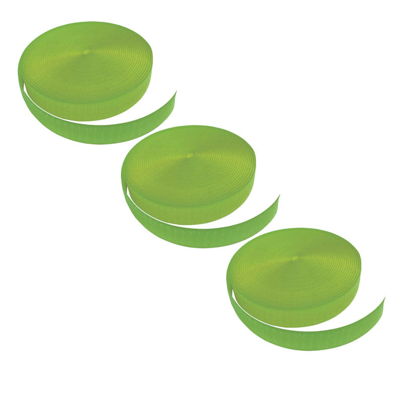 TEACHER CREATED RESOURCES - Spot On Lime Carpet Marker Strip, 25 Feet, Pack of 3