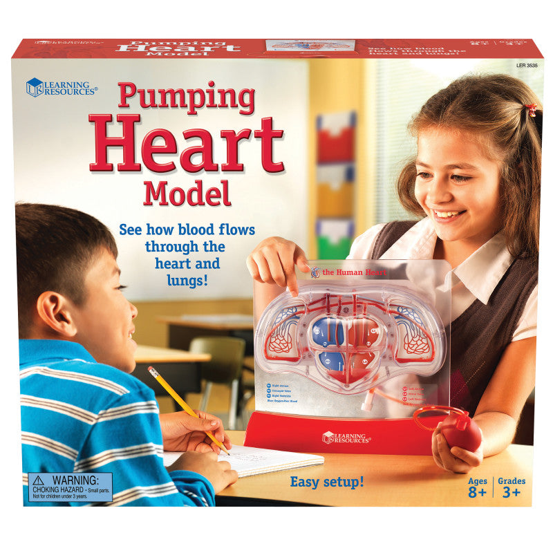 LEARNING RESOURCES - Pumping Heart Model