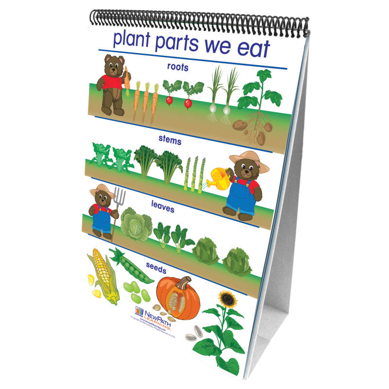 NEWPATH LEARNING - Early Childhood Science Readiness Flip Charts, All About Plants