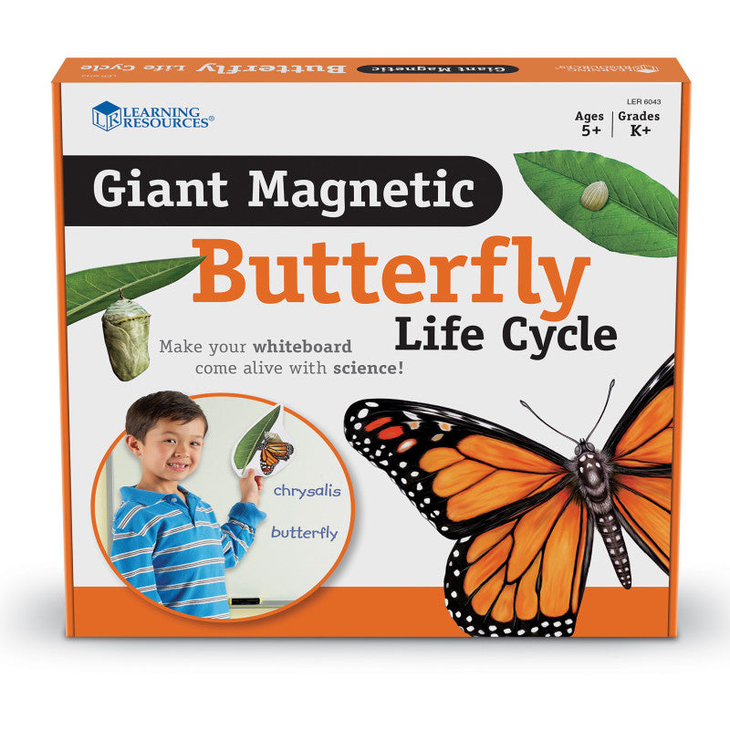 LEARNING RESOURCES - Giant Magnetic Butterfly Life Cycle, Set of 9