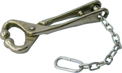 Bull Lead W/Chain