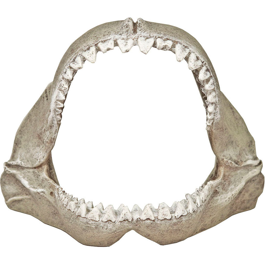 Exotic Environments Great White Shark Jaws (GRAY, SM)