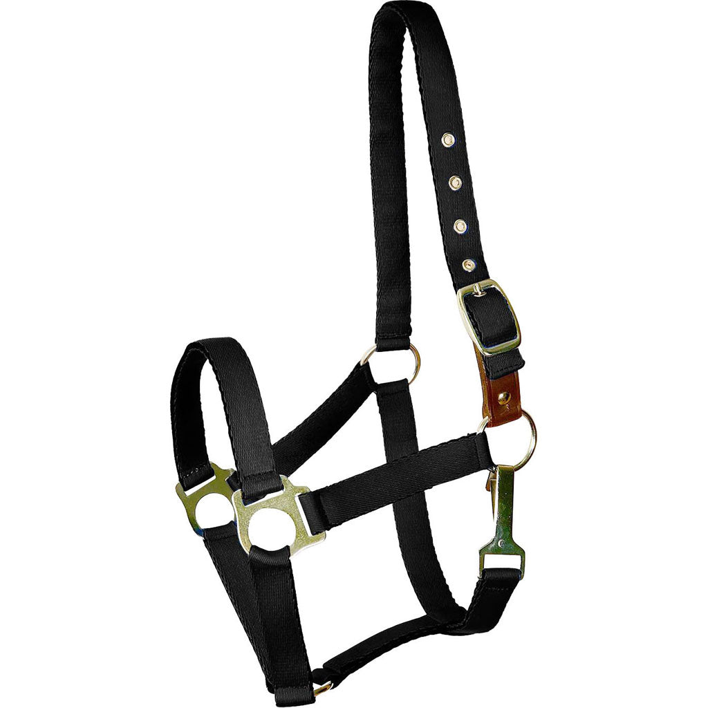 Gatsby Ultra Soft Nylon Safety Halter (BLACK, COB)