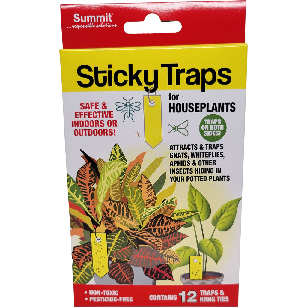Stickytraps Houseplant Insect Traps (12 CT)